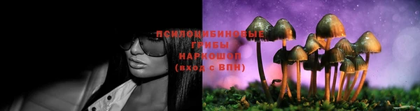 прущие крисы Аркадак