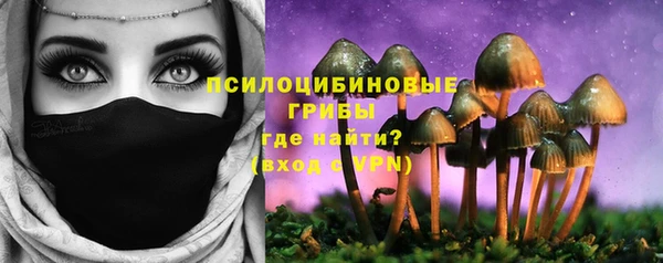 мдпв Арсеньев