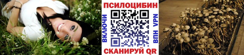 Псилоцибиновые грибы Psilocybine cubensis даркнет сайт Сосновоборск