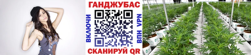 Шишки марихуана MAZAR  купить наркотик  kraken как войти  Сосновоборск 